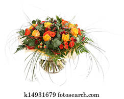 Berry Fern Photos | Our Top 268 Berry Fern Images | Fotosearch