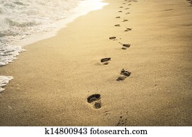 Footprints in the sand