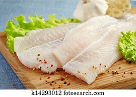 fresh raw fish fillet