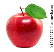 Fresh red apple Fresh red apple