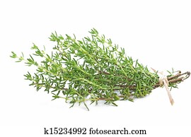 Fresh thyme herb on white Fresh thyme herb on white