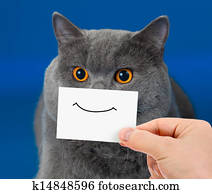funny cat portrait with smile on card