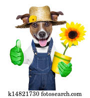 gardener dog gardener dog