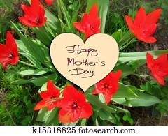 Happy Mother's Day flowers tulips Happy Mother's Day flowers tulips
