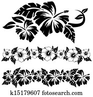 havaiano, hibisco, flores