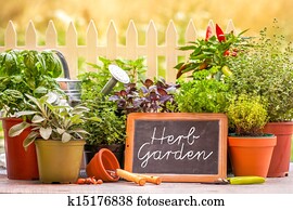 Herb garten Herb garten