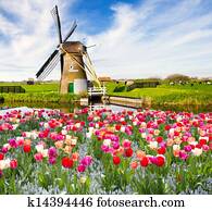 Holland Holland