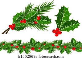 holly, folhas, e, bagas