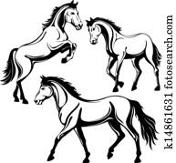 Horse Horse