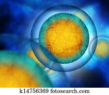 human cells human cells