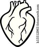 Human heart Human heart