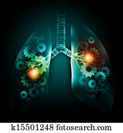 Human lungs Human lungs