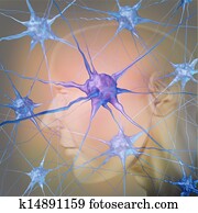 Human Neurons Human Neurons