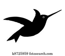 hummingbird