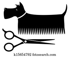 isolated grooming dog isolated grooming dog