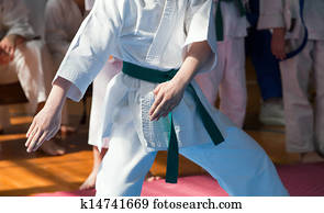 karate karate