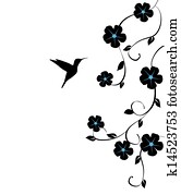 kolibri kolibri
