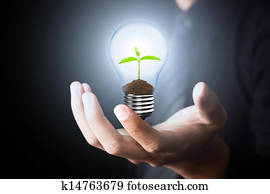 Light Bulb with sprout inside Light Bulb with sprout inside