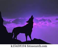 lobo, uive, em, pôr do sol