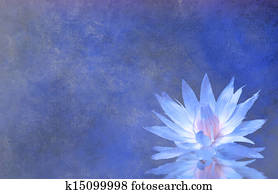 Lotus Blossom Textured Background Lotus Blossom Textured Background