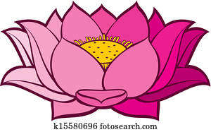lotusblüte lotusblüte