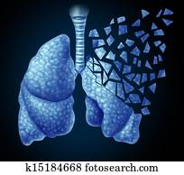 Lung Illness Lung Illness