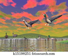 Mallard duck scenery - 3D render