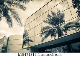 Modern office building with palm tr