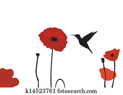 mohnblumen mohnblumen