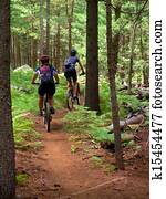 Mountain Biking Mountain Biking