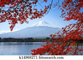 mt. fuji, em, a, outono
