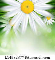 nature background nature background