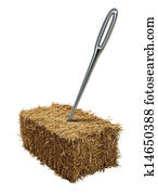 Needle In A Haystack