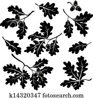 Oak branches with acorns, silhouettes Oak branches with acorns, silhouettes