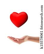Organ donation Organ donation