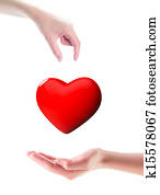 Organ donation Organ donation