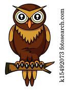 owl owl