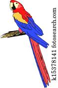 parrot parrot