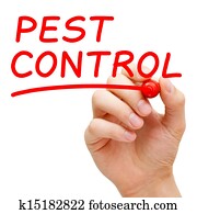 Pest Control Pest Control