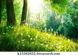 primavera, Nature., bonito, paisagem., grama verde, e, árvores