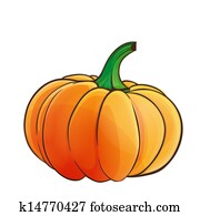 Pumpkin isolated Pumpkin isolated