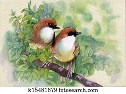 quadro, cobrança, pássaros, de, primavera