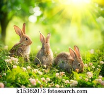 Rabbits., arte, desenho, de, cute, pequeno, bunnies easter, em, a, prado