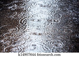 Rain puddle Rain puddle