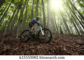 Rider in action Rider in action