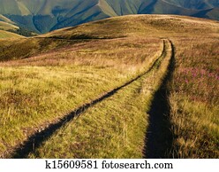 Road to the distant mountains