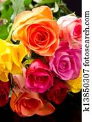 Roses Roses