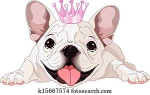 Royalty bulldog Royalty bulldog