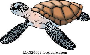 small turtle small turtle