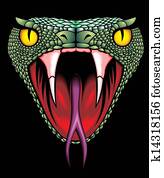 snake head snake head